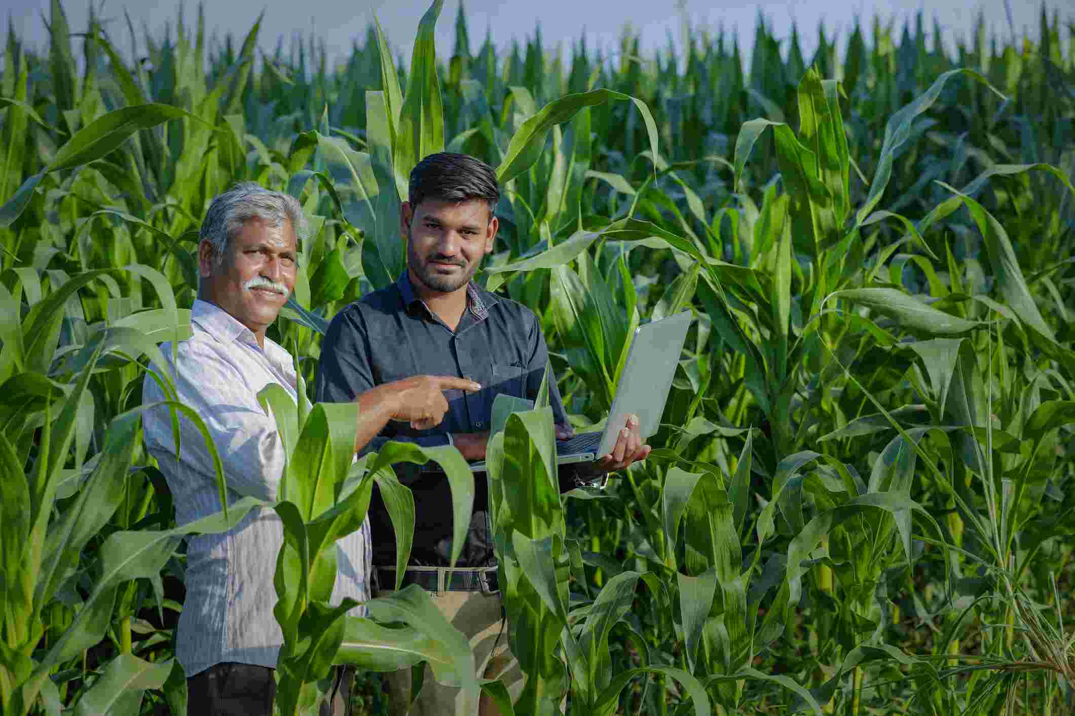 ಅಗ್ರಿ ಕ್ಲಿನಿಕ್ ಮತ್ತು ಅಗ್ರಿ ಬಿಸಿನೆಸ್ ಸೆಂಟರ್ ಗಳು